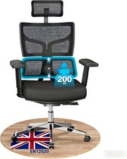 200kg 440LBS Ergonomic Office